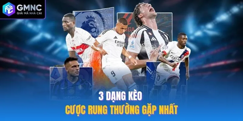 3 dạng kèo cược rung thường gặp nhất